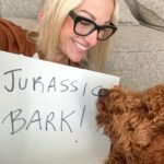 Lindsay Czarniak Instagram - Pup entertainment 🐾#JOTD #jokes #laugh #puppies #dpgs #family #dinosaurs