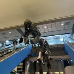 Lindsay Czarniak Instagram - Can you tell which airport we were flying into? One of our faves for sure. Love a life size T. Rex! Our resident paleontologist never gets tired of this #JOTD #jokes #laugh #dinosaurs #airport