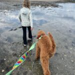 Lindsay Czarniak Instagram – Discovered today … our pup loves water #puppies #summer #mylesfiles #love #family