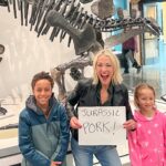 Lindsay Czarniak Instagram - If you have a chance to check out the @yalepeabodymuseum it is a MUST! We have an emerging dino aficionado in our house and even he was floored by how much there is to see. Thank you Susan for answering all of our prehistoric questions and sharing that there were indeed dinosaurs in Connecticut. We will be back soon! #JOTD #jokes #laugh #family #dinosaurs