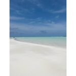 Lindsay Price Instagram - For whatever we lose ( like a you or a me) it’s always our self we find in the SEA. - E.E. Cummings