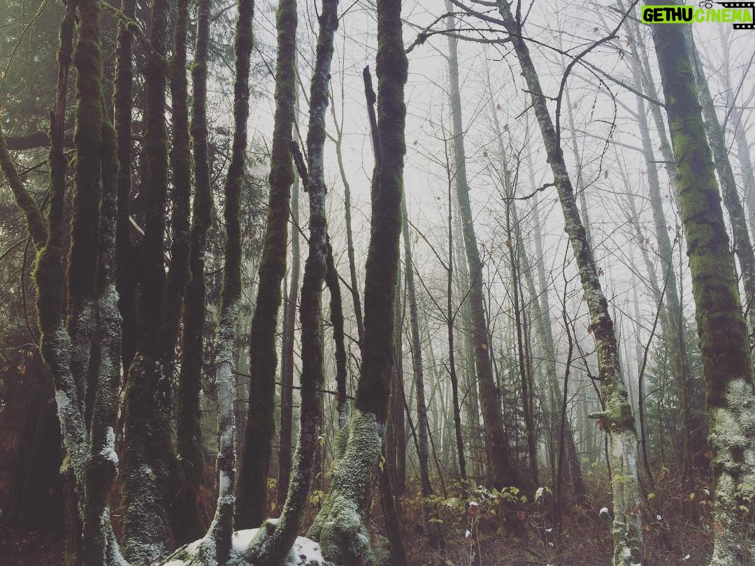 Lindy Booth - 4.3K Likes - thank you vancouver, squamish and whistler... you were a magical, rainy, wintery and wonderful way to spend three weeks! can’t wait to share this movie with you guys on @hallmarkchannel in the new year!