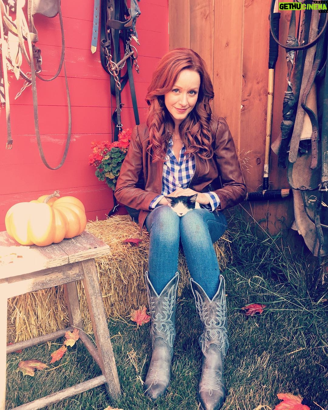Lindy Booth - 5.8K Likes - #InternationalCatDay you say?! here’s another shot of me and my favorite co-star who is definitely not @wesbrown225