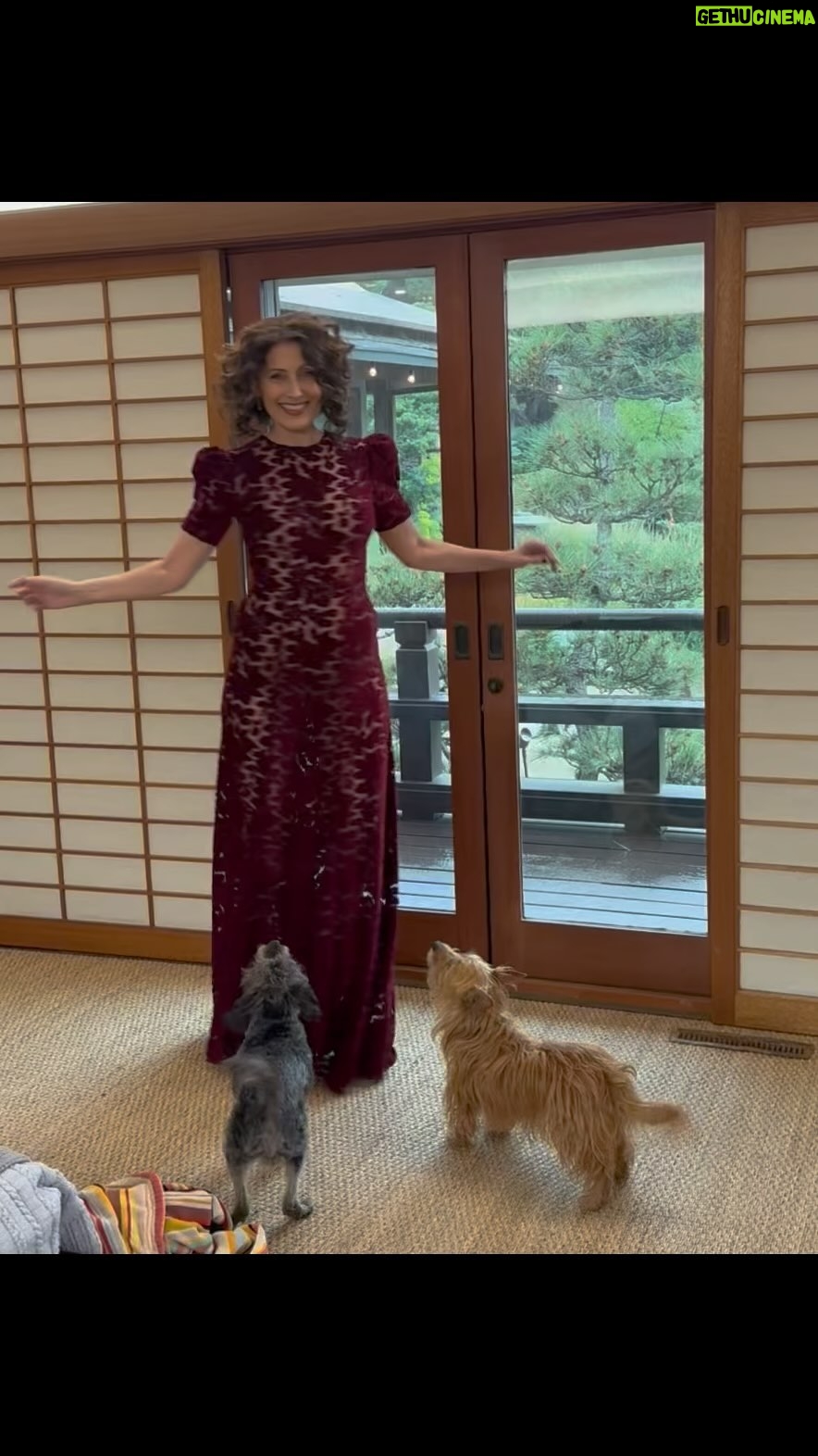 Lisa Edelstein - 31K Likes - Showing off my pretty dress to my most devoted audience #dogs Thank you @moca for a beautiful evening surrounded by community! #mocagala @thevampireswife 🎥 @robertrussellworks
Oh! And thank you @justinmayfieldart
And @brantmayfield for the hair do and makeup!