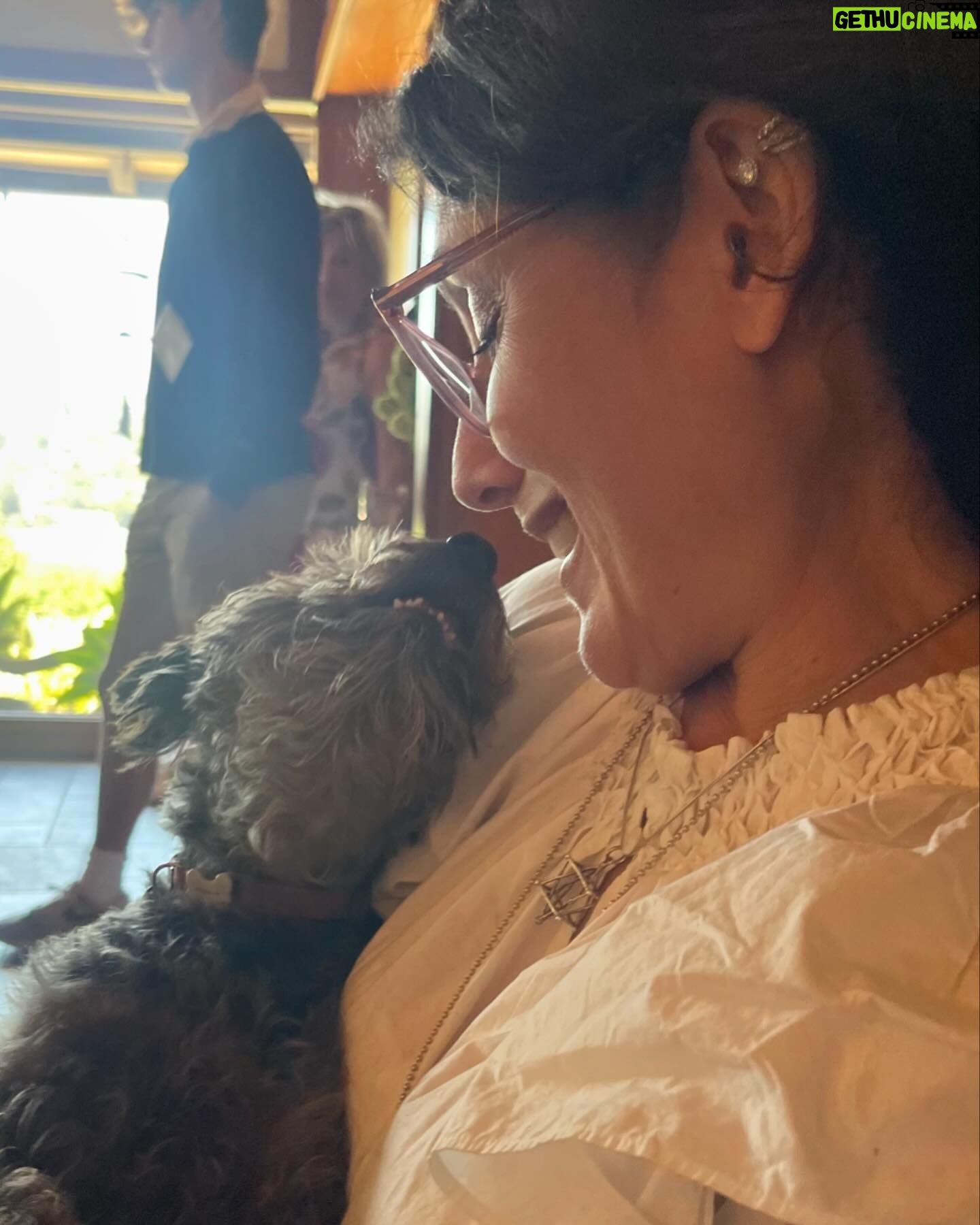 Lisa Edelstein - 4.1K Likes - OUR LOVE IS REAL YOU GUYS. (Thx for the proof @daelevine 📸)❤️❤️❤️❤️❤️❤️❤️