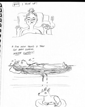 Lisa Hanawalt Instagram - Hourly comics day! Sweat attacks! Thankfully only happening at night, but I’m prepared for that to change at literally any moment 💦