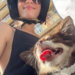 Lisa-Marie Koroll Instagram – Work Life Balance 🤸🏼‍♂️ 

1. @twilightcreations you guys are the best 
2. Set romantic 
3. Love love 
4. it‘s getting bloody 
5. happy
6. spanish food soooo gooood (Valencia’s paella especially) 
7. ¡Hola! from Valencia 
8. Life in Valencia 10/10
9. How we spend our Saturday night