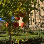 Lisa-Marie Koroll Instagram – Road tripping 🐬
1. First tapas stop in Peñiscola 
2. Inhaling the french country air 
3. and 4. visiting the pope palace in Avignon and 5. marvel at the mysterious art of #EvaJospin 
6. wandering the streets of Avignon 7. Dipping into the Gardon under the Pont du Gard 
8. and 9. Jumping into the Mediterranean Sea and 10. Enjoying Henry’s holiday face