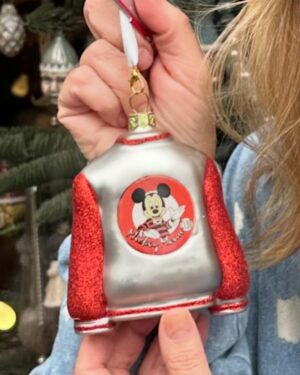 Lisa Whelchel Instagram - Absolutely magical memories made at @disneyland. We will relive this epic day for years to come. 🪄💫💖