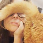 Lisa Wilkinson Instagram - What happens whenever I take no notice… 🐈😏 Lana del Puss Puss by name…and nature. #catsofinstagram
