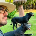 Lisette Morelos Instagram – Un día como hoy en 2015 llego a casa Lilith! Gracias negra por estos años maravillosos!!!! Te amo! 
Gracias @ericasanchezsu y a @escul_can por hacer esto posible! 
Feliz cumpleaños Lilith!!!!! 🥰😍
#adoptdontshop #standupforpits