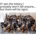 Lisette Morelos Instagram – I am stealing this post from @amaanimalrescue so accurate! 🤣