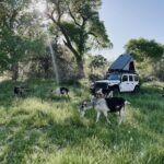 Lisseth Chavez Instagram - Left civilization for a week and came back with a tribe! 🐐 HIDE CAMP: Where we spent a week unplugged, communing with goats, whispered to cottonwood trees, danced under the stars around crackling fires. We went back to basics & embraced our primitive ancestral skills. A huge Thank you thank you to @caprakhan & Rain Gorenc for guiding and sharing this experience with us🤍 Thank you for teaching us old ways, for sharing your home with us, for the memories we created, I’m Truly grateful for it alllll 🥹🙏🏽