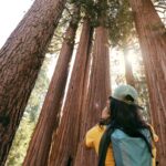 Lisseth Chavez Instagram – Nature is the purest portal to inner-peace🦋🖤 #sequoianationalpark #camplife