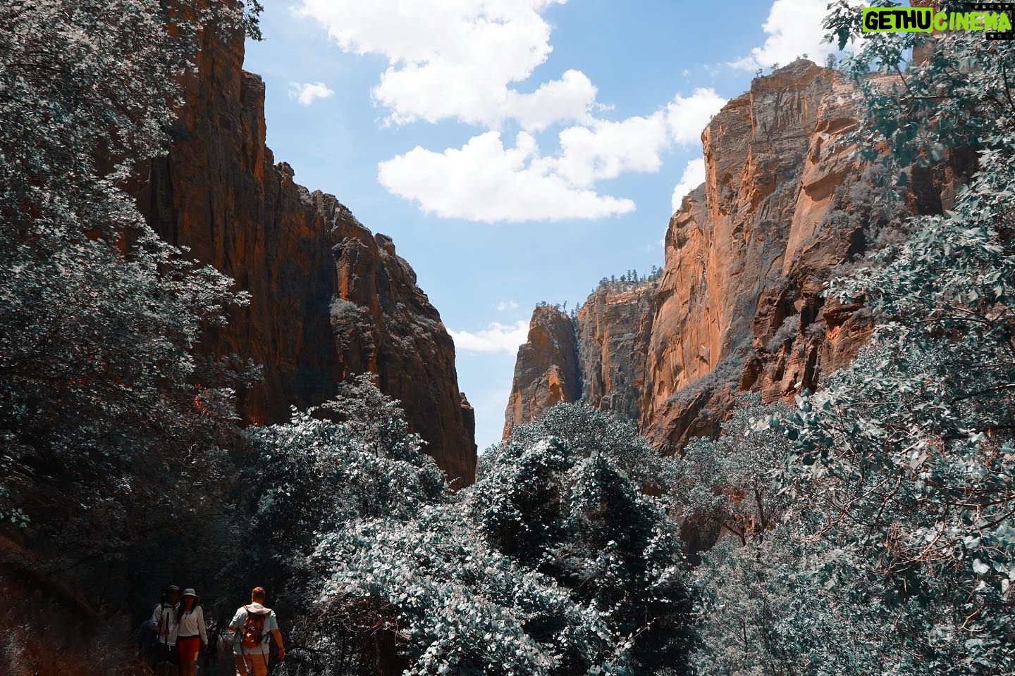 Lisseth Chavez Instagram - Zion♥️One of the most beautiful places my eyes have ever seen⛰ #zion
