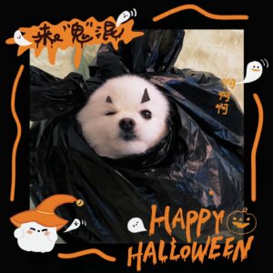 Liu Yase Instagram - 🎃🎃🎃今晚一起搗蛋啊🤪
@williamchanwaiting 
#萬聖節