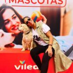 Liz Gallardo Instagram - Estuvimos muyfelices porque nos invitaron al lanzamiento de los nuevos productos para la limpieza de la casa de la súper marca @vileda.mx com los que podremos dejar nuestros hogares libres de molestos pelitos y así disfrutar la compañía de nuestros hermosos peludos ! Tienen que conocerlos porque tienen de todo y con la tecnología más moderna en escobas y trapeadores! Me encantaron!!!!! #viledapetpro #limpiezadelhogar #losanimalistasmexico