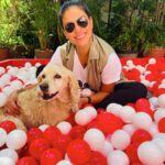 Liz Gallardo Instagram - Estuvimos muyfelices porque nos invitaron al lanzamiento de los nuevos productos para la limpieza de la casa de la súper marca @vileda.mx com los que podremos dejar nuestros hogares libres de molestos pelitos y así disfrutar la compañía de nuestros hermosos peludos ! Tienen que conocerlos porque tienen de todo y con la tecnología más moderna en escobas y trapeadores! Me encantaron!!!!! #viledapetpro #limpiezadelhogar #losanimalistasmexico