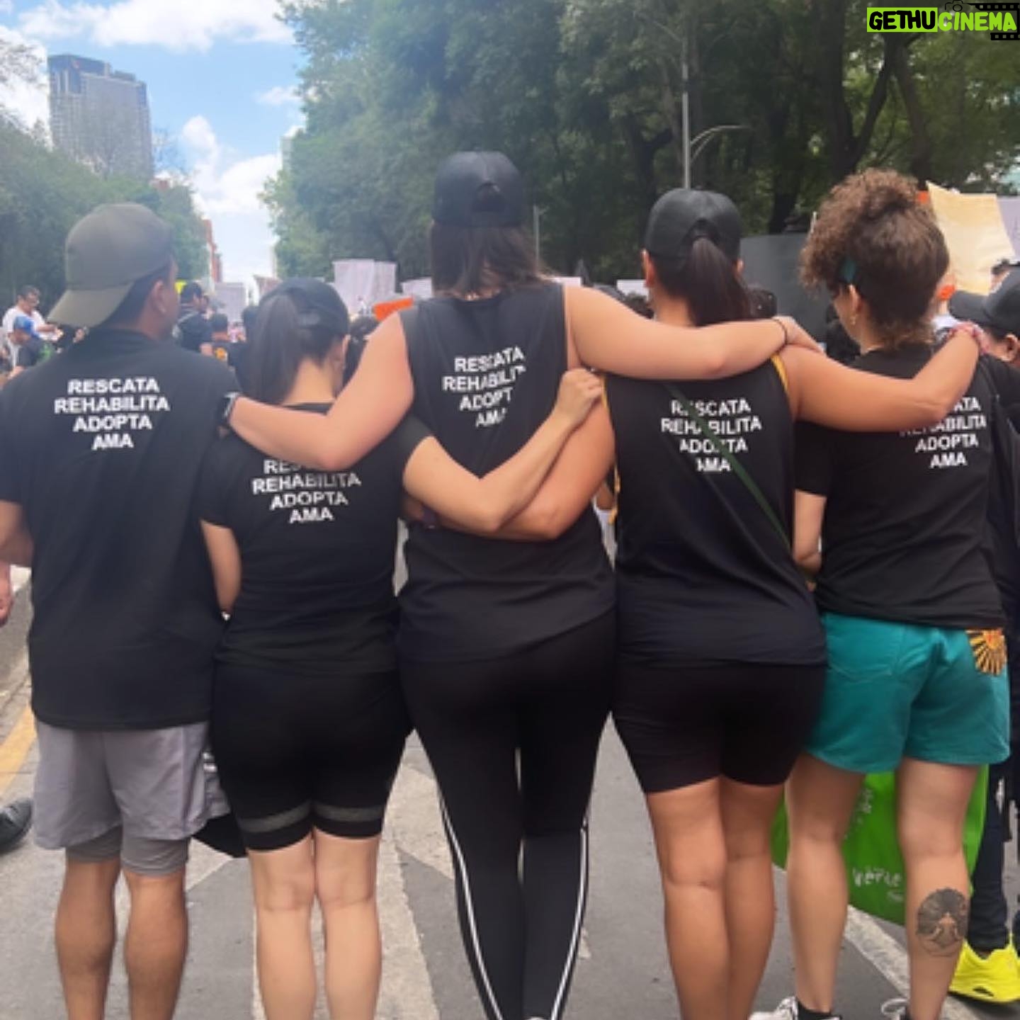 Liz Gallardo Instagram - ✨Gracias 2023 por tantos momentos espectaculares junto a maravillosas personas. Personas que piensan cambiar al mundo poniendo un granito de arena al igual que nosotras.🌎 💕Gracias a todos los voluntarios, donadores que con su apoyo logramos salvar y ayudar a mas de 40 animalitos. Estamos seguras que con el apoyo de todos ustedes, el próximo año seguiremos salvando más vidas 🙏🏻 Con cariño Liz & Tan 💕