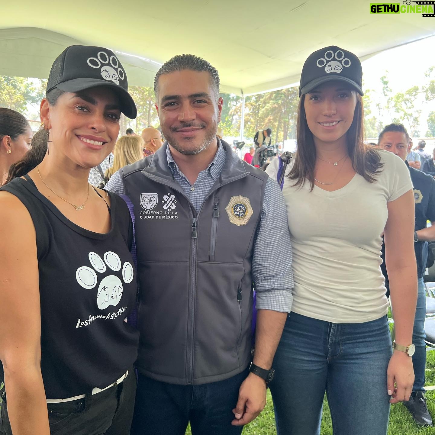 Liz Gallardo Instagram - ✨Gracias 2023 por tantos momentos espectaculares junto a maravillosas personas. Personas que piensan cambiar al mundo poniendo un granito de arena al igual que nosotras.🌎 💕Gracias a todos los voluntarios, donadores que con su apoyo logramos salvar y ayudar a mas de 40 animalitos. Estamos seguras que con el apoyo de todos ustedes, el próximo año seguiremos salvando más vidas 🙏🏻 Con cariño Liz & Tan 💕