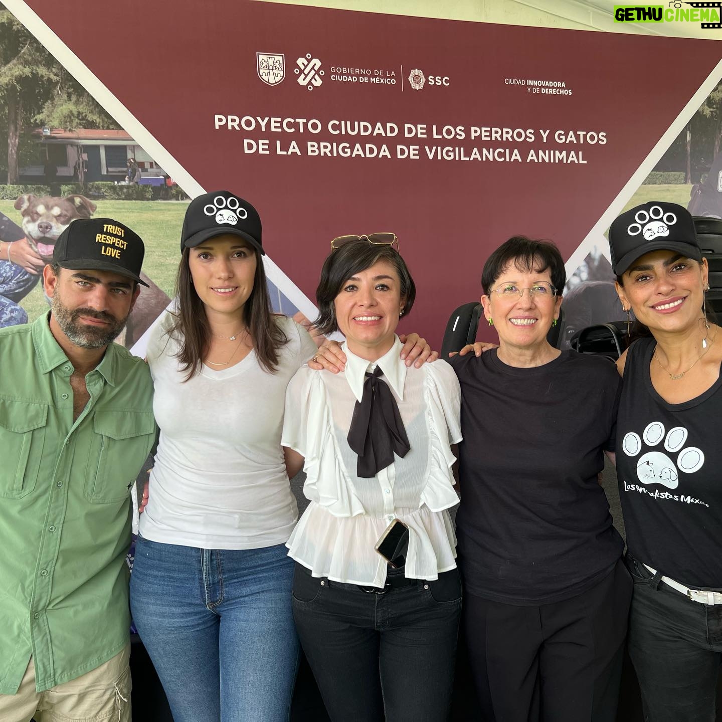Liz Gallardo Instagram - ✨Gracias 2023 por tantos momentos espectaculares junto a maravillosas personas. Personas que piensan cambiar al mundo poniendo un granito de arena al igual que nosotras.🌎 💕Gracias a todos los voluntarios, donadores que con su apoyo logramos salvar y ayudar a mas de 40 animalitos. Estamos seguras que con el apoyo de todos ustedes, el próximo año seguiremos salvando más vidas 🙏🏻 Con cariño Liz & Tan 💕