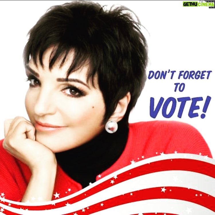 Liza Minnelli Instagram - #lizaminnelli #election2016 #dontforgettovote #vote #everyvotecounts