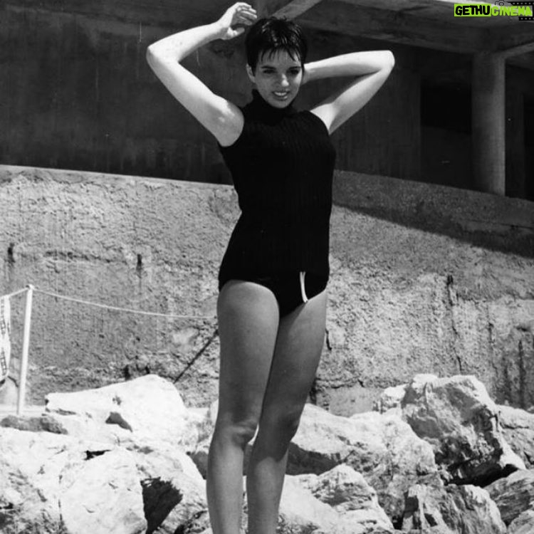 Liza Minnelli Instagram - It's the first day of Summer! #liza #lizaminnelli #summer #first #day #firstdayofsummer #icon #hollywood