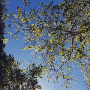 Liza Weil Instagram - Post picnic snooze