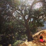 Liza Weil Instagram -