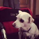 Liza Weil Instagram -