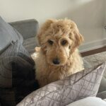 Lizze Broadway Instagram - pics I sent to my mom