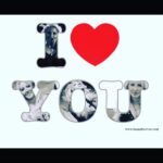 Loana Petrucciani Instagram - I Love you mes loulous 💖 loana #beauty ##frenchgirl #miroir #naturalmakeup #loveyou #influenceuse #romantic #women #selfie #love #heart #sweet #friends #blondebombshell #love #heart #sweet #friends #blondebombshell #🧡 Mes loulous juste pour vous rappeler que si vous voulez faire une dédicace personnalisé de moi à qui vous voulez ou même vous même pour n’importe quelle occasion ou juste pour faire plaisir .. Vous pour pouvez me retrouver sur le site Vidoleo