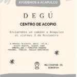 Lorena Herrera Instagram - Aquí les comparto unos centros de acopio seguros que encontré en #cdmx🇲🇽 también lo que es más importante que enviemos, en uno de ellos saldrá un camión con ayuda a Acapulco éste viernes! En Acapulco siguen incomunicados y sin luz, muchos hospitales sin planta de luz, se imaginan?! 😭 #acapulco #huracan #otis #ayuda