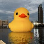 Lorene Ren Instagram - 追星成功🐤