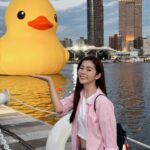 Lorene Ren Instagram - 追星成功🐤