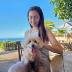 Lorene Ren Instagram – 趁好天氣帶小賓出來走走🐶☀️
大家平常都會帶家裡的毛小孩去哪呢？