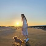 Lorene Ren Instagram – 趁好天氣帶小賓出來走走🐶☀️
大家平常都會帶家裡的毛小孩去哪呢？