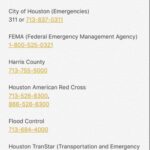 Loretta Devine Instagram – The needed information.