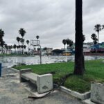 Lori Petty Instagram - Morning after and all is peaceful and sweet. We just drizzled over here‼️No rain this morning‼️Hope y'all are safe & I love U very much. Go create something fabulous today xx #venice #swipe
