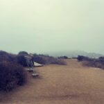 Lori Petty Instagram - - 6:30 AM hike…the ocean is out there somewhere…love y’all so much and can we talk about oxygen and trees!?! 😂🌳🌺💙 #swipe