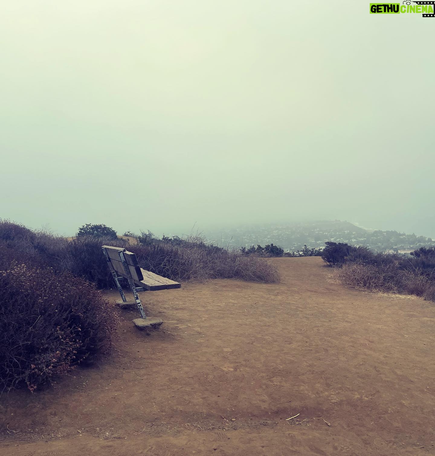 Lori Petty - 3 Likes - - 6:30 AM hike…the ocean is out there somewhere…love y’all so much and can we talk about oxygen and trees!?! 😂🌳🌺💙 #swipe