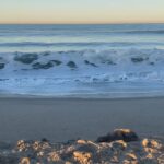 Lori Petty Instagram – – morning walk with the highest tide‼️🌊‼️Love y’all xx #swipe