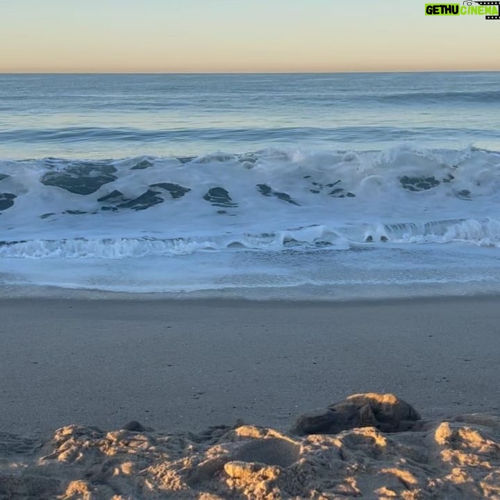 Lori Petty - 3 Likes - - morning walk with the highest tide‼️🌊‼️Love y'all xx #swipe