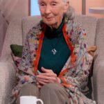 Lorraine Kelly Instagram - Happy 90th Birthday to the wonderful @janegoodallinst 💕 #HappyBirthday