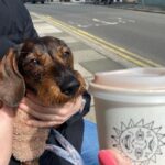 Lorraine Kelly Instagram - LOVE HER!! Just the cutest Posted @withregram • @rubyisasausage For me?! ☕️