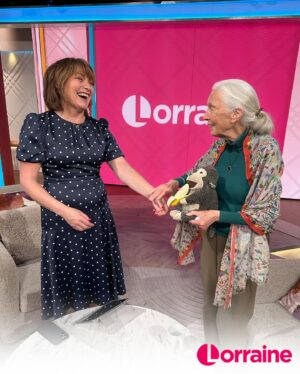 Lorraine Kelly Instagram - Renowned for her groundbreaking work with chimpanzees in Tanzania and her tireless efforts as a conservationist, Dr Jane Goodall’s legacy is one of profound impact and enduring inspiration.

Jane brought a very special stuffed animal named Mr H to the studio, who has been with her since 1996. Swipe across to hear the story of Mr H from Jane herself ❤️ #Lorraine #JaneGoodall