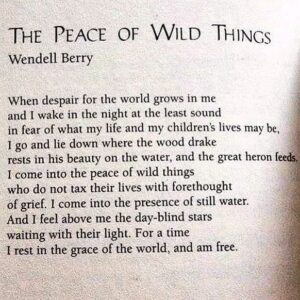 Louisa Connolly-Burnham Instagram - I come into the peace of wild things ✨ #WendellBerry