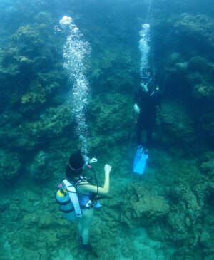 Louisa Mak Instagram - Weekend快閃沖繩
#3日2夜
#28度水
#divebuddy育成計畫