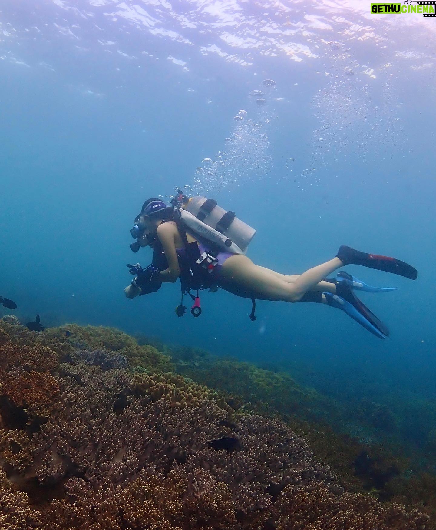 Louisa Mak - 32.4K Likes - Weekend快閃沖繩
#3日2夜
#28度水
#divebuddy育成計畫