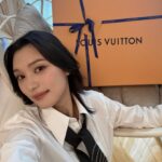 Louise Wong Instagram - Sm;le 🖤🪄 @louisvuitton #lvlowkeyhobo